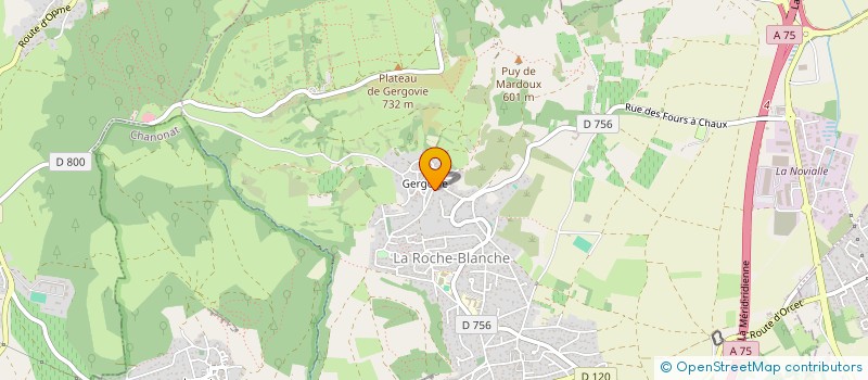 localisation de l'entreprise MADAME ISABEL LOPES  LA ROCHE-BLANCHE