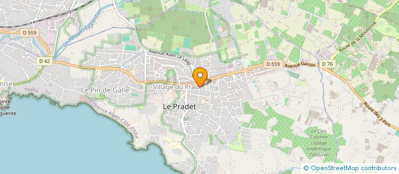 localisation de l'entreprise MADAME ISABELLE ARZEL  LE PRADET