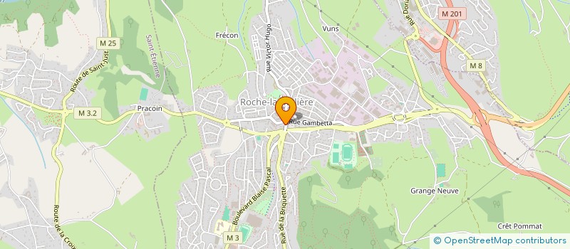 localisation de l'entreprise MADAME ISABELLE BERTAIL  ROCHE-LA-MOLIERE