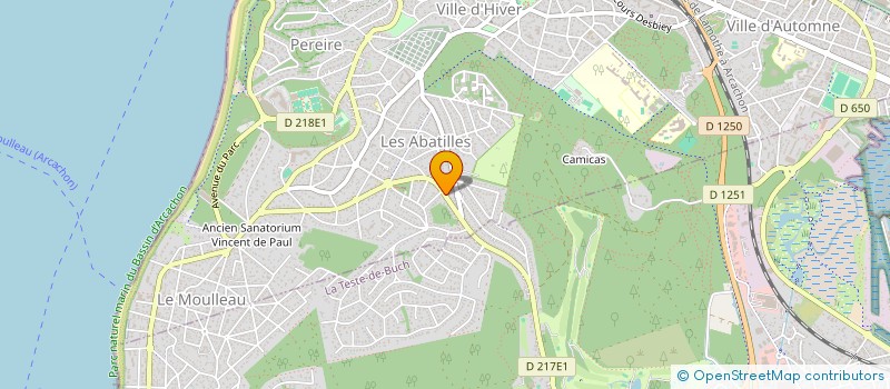 localisation de l'entreprise MADAME ISABELLE BERTE à ARCACHON