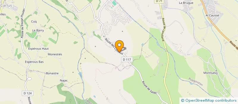 localisation de l'entreprise MADAME ISABELLE BOISSON  SALIES