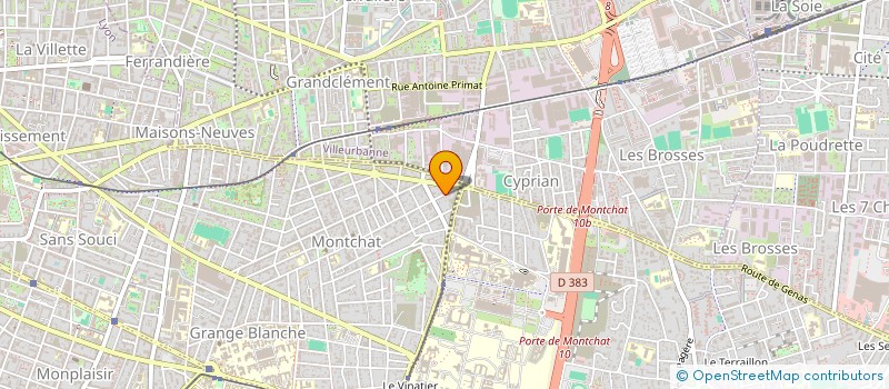 localisation de l'entreprise MADAME ISABELLE BRAEMER à LYON