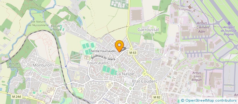 localisation de l'entreprise MADAME ISABELLE CASES à COLOMIERS