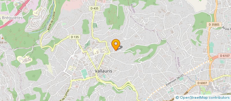 localisation de l'entreprise MADAME ISABELLE IUGOVICH à VALLAURIS