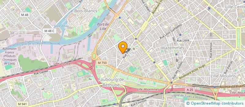 localisation de l'entreprise MADAME ISABELLE JEANNE DENANTES à LILLE