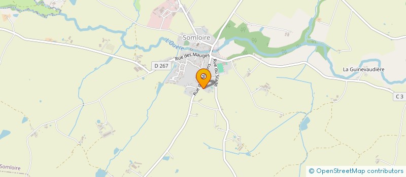 localisation de l'entreprise MADAME ISABELLE LANDREAU  SOMLOIRE