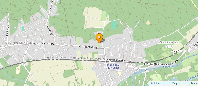 localisation de l'entreprise MADAME ISABELLE MARCELLI à MONTIGNY-SUR-LOING