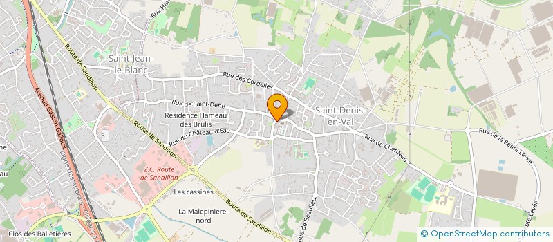 localisation de l'entreprise MADAME ISABELLE PALHARES à SAINT-DENIS-EN-VAL