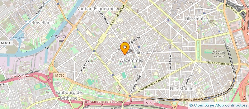 localisation de l'entreprise MADAME ISABELLE ROBERT  LILLE