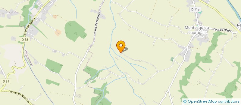 localisation de l'entreprise MADAME ISABELLE ROUGE  MONTESQUIEU-LAURAGAIS