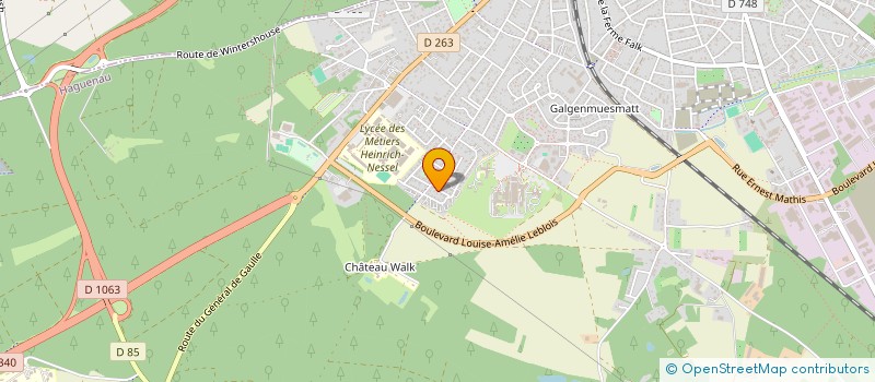 localisation de l'entreprise MADAME ISABELLE STEINER  HAGUENAU