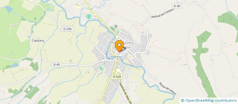 localisation de l'entreprise MADAME ISABELLE VIVIES  MONTESQUIEU-VOLVESTRE