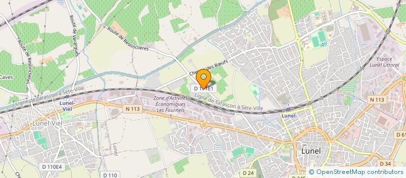 localisation de l'entreprise MADAME ISABELLE WILMANN-COURTEAU  LUNEL-VIEL