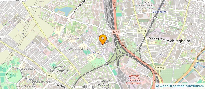 localisation de l'entreprise MADAME ISSRAA ZIDI  STRASBOURG