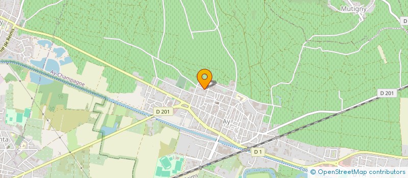 localisation de l'entreprise MADAME IULIIA ANASHKOVA  AY-CHAMPAGNE