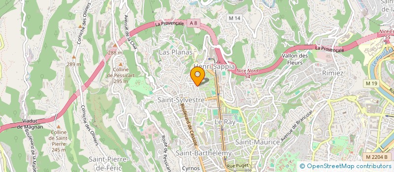 localisation de l'entreprise MADAME IULIIA FEDORENKO à NICE