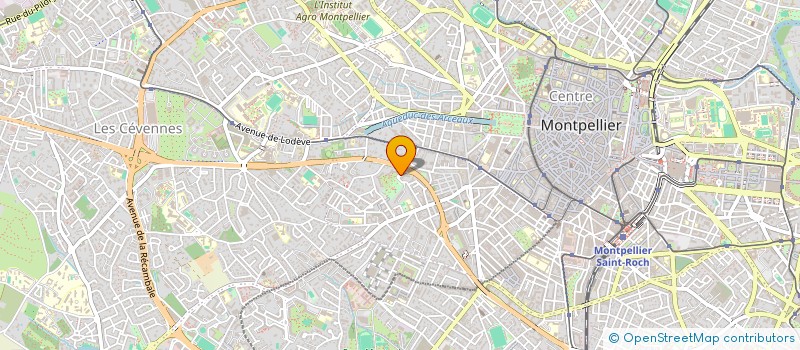 localisation de l'entreprise MADAME IULIIA IVCHIK à MONTPELLIER