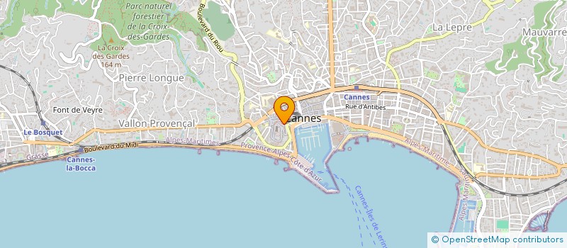 localisation de l'entreprise MADAME IULIIA OUKLEINA à CANNES