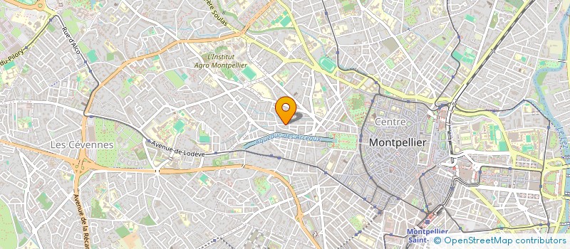 localisation de l'entreprise MADAME IVA VISNAKOVA  MONTPELLIER