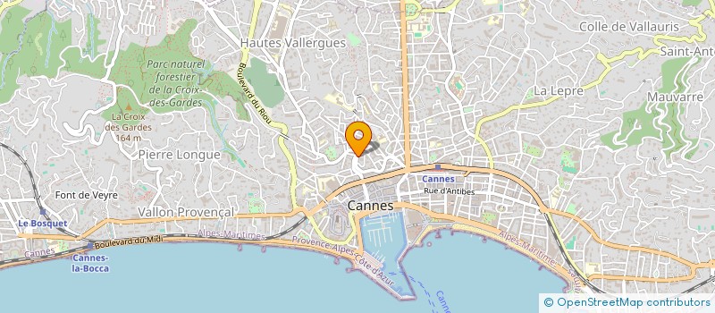 localisation de l'entreprise MADAME IVIKA KUNNAPAS à CANNES