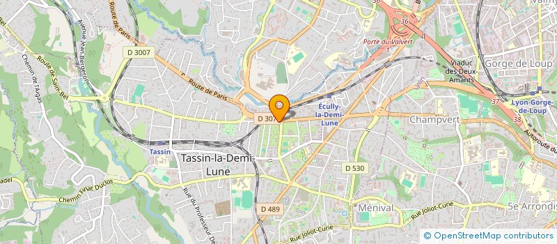 localisation de l'entreprise MADAME J TURRIN  TASSIN-LA-DEMI-LUNE