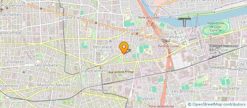 localisation de l'entreprise MADAME JACINTA DA SILVA  ALMEIDA  VILLEURBANNE