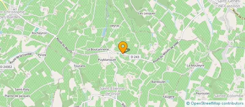 localisation de l'entreprise MADAME JACQUELINE BERSAC  SAINT-ETIENNE-DE-LISSE