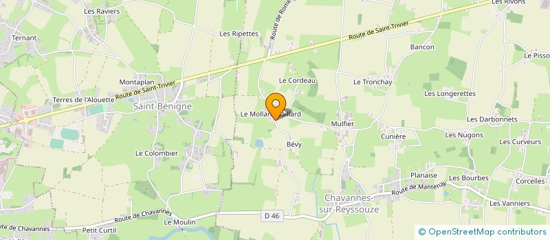 localisation de l'entreprise MADAME JACQUELINE BOUVIER à CHAVANNES-SUR-REYSSOUZE