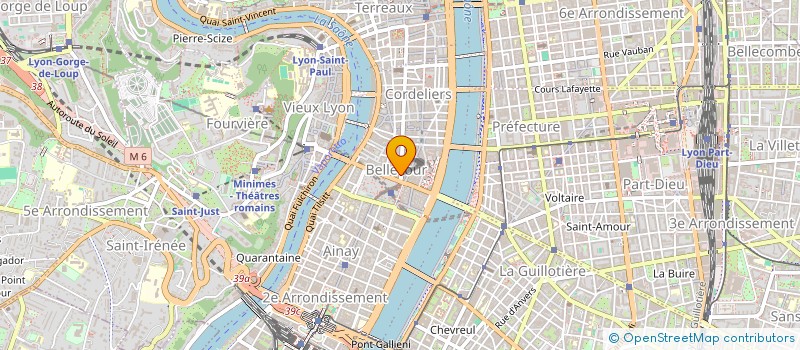 localisation de l'entreprise MADAME JACQUELINE BRAUNSCHWEIG  LYON