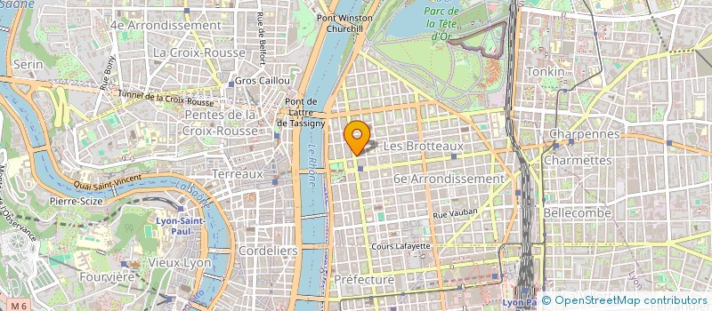 localisation de l'entreprise MADAME JACQUELINE DOUDET à LYON