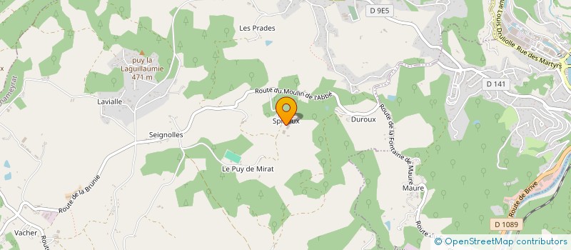 localisation de l'entreprise MADAME JACQUELINE DUCHAMP  CHAMEYRAT