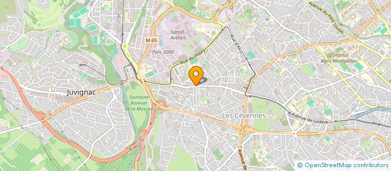 localisation de l'entreprise MADAME JACQUELINE ESPINASSE à MONTPELLIER