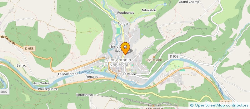 localisation de l'entreprise MADAME JACQUELINE FRYD  SAINT-ANTONIN-NOBLE-VAL