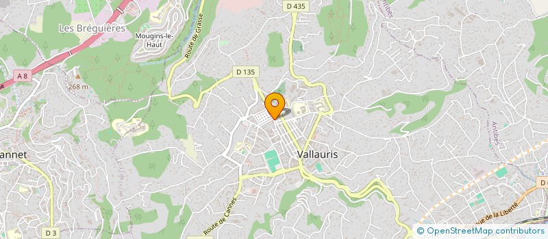 localisation de l'entreprise MADAME JACQUELINE GASTAUD  VALLAURIS