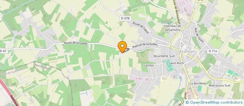 localisation de l'entreprise MADAME JACQUELINE GROSSO  FRONTON