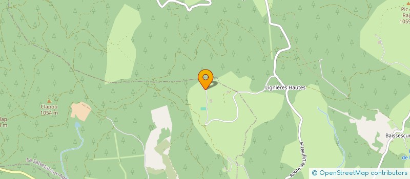 localisation de l'entreprise MADAME JACQUELINE OOSTING  LA SALVETAT-SUR-AGOUT