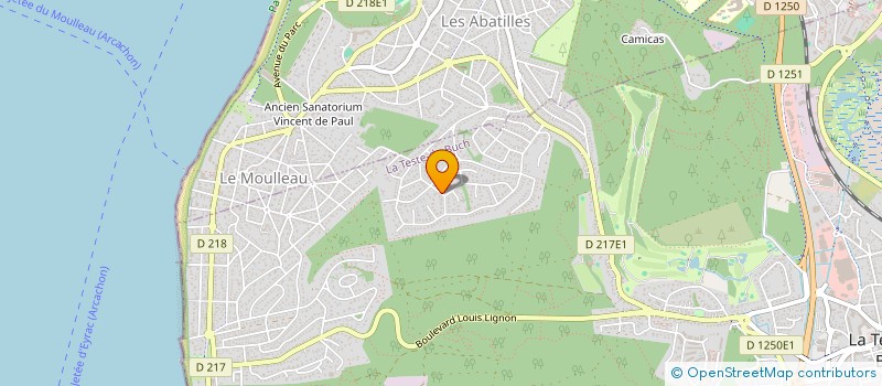 localisation de l'entreprise MADAME JACQUELINE ROUDES à LA TESTE-DE-BUCH