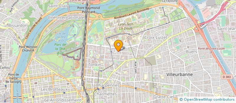 localisation de l'entreprise MADAME JACQUELINE THOMAS  VILLEURBANNE