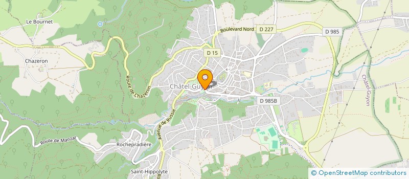 localisation de l'entreprise MADAME JACQUELINE TOURAUD à CHATEL-GUYON