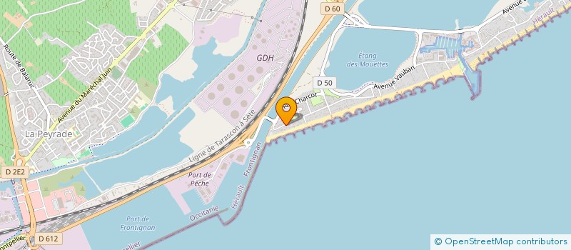 localisation de l'entreprise MADAME JADE CARLI à FRONTIGNAN