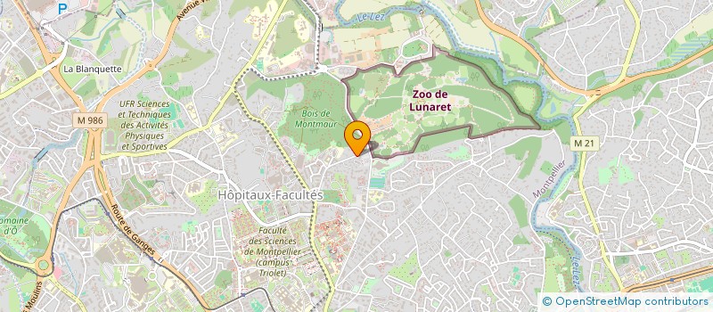 localisation de l'entreprise MADAME JADE LEHOUX à MONTPELLIER