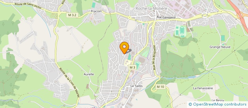 localisation de l'entreprise MADAME JADE MURCIA  ROCHE-LA-MOLIERE