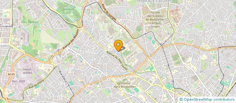 localisation de l'entreprise MADAME JANAINA TUPAN DE MORAES SOUZA GOMES à MONTPELLIER