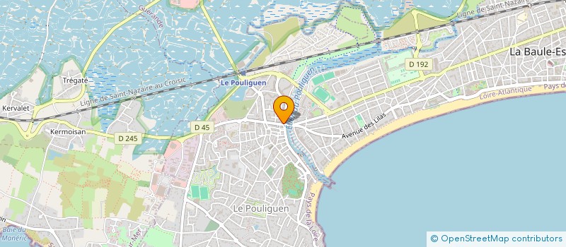 localisation de l'entreprise MADAME JANE DOUNONT  LE POULIGUEN