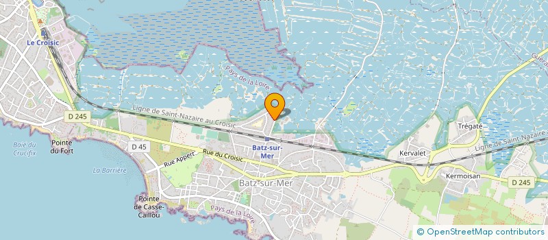 localisation de l'entreprise MADAME JANINE CAVALIN  BATZ-SUR-MER