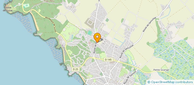 localisation de l'entreprise MADAME JANINE MOYSSEY  MESCHERS-SUR-GIRONDE