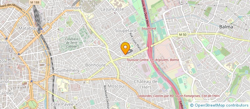 localisation de l'entreprise MADAME JANINE SZER à TOULOUSE