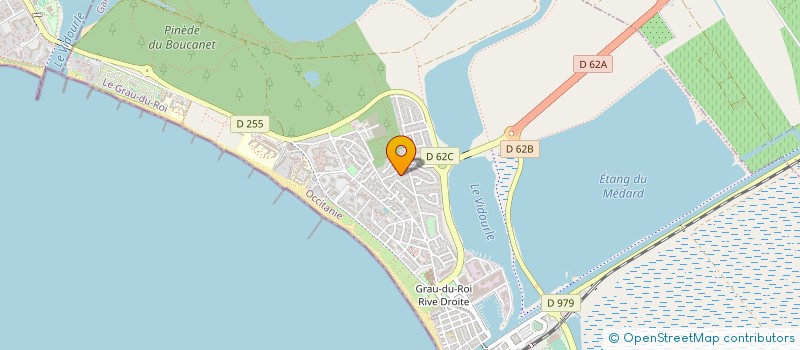 localisation de l'entreprise MADAME JANINE VETTE  LE GRAU-DU-ROI