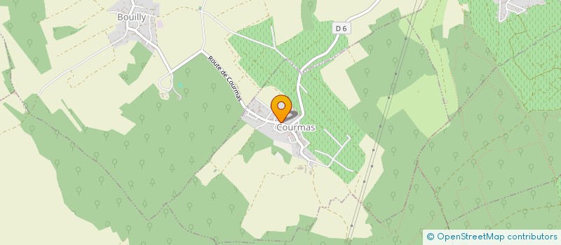 localisation de l'entreprise MADAME JANINE WASIK  COURMAS