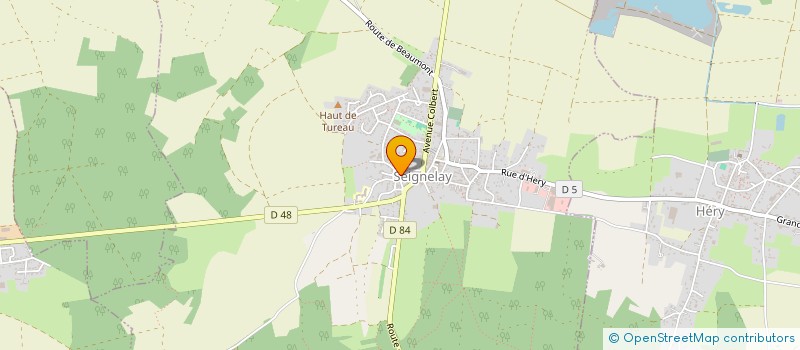 localisation de l'entreprise MADAME JANIS RIFLER  SEIGNELAY